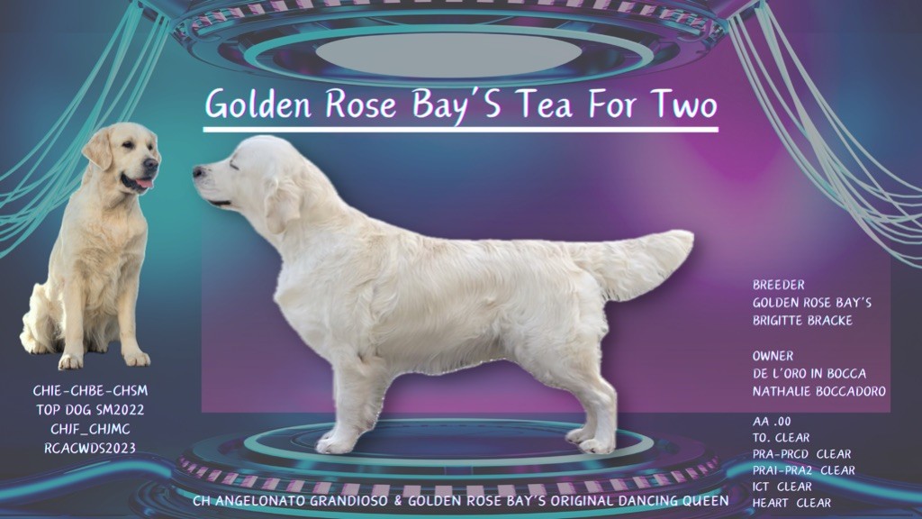 CH. golden rose bay's Tea for two