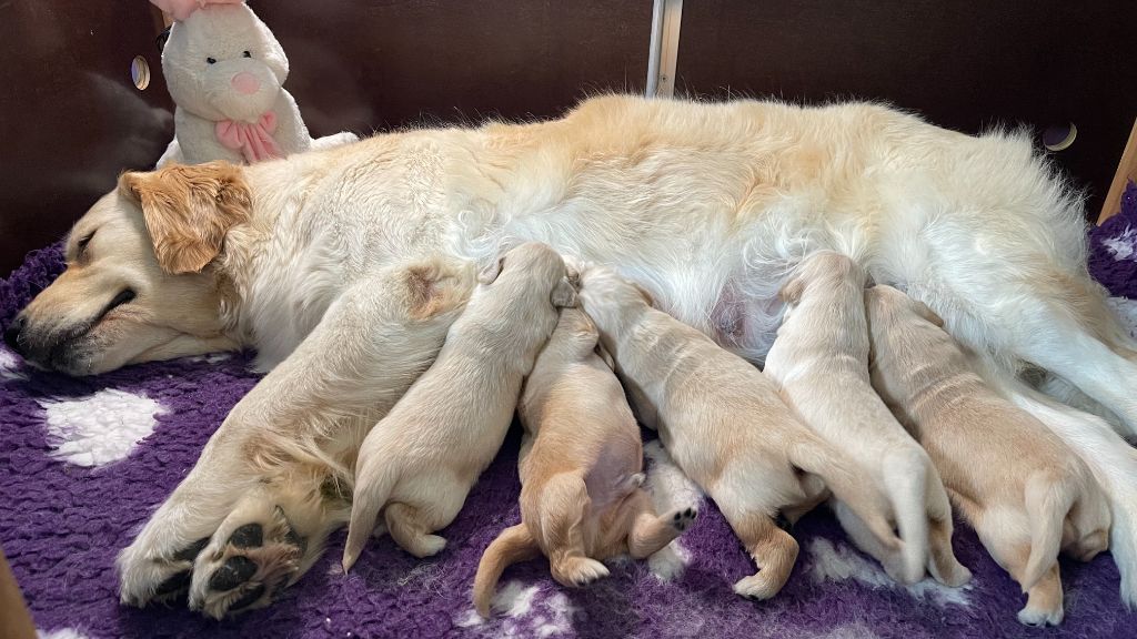 Nos 5 adorables bébés 